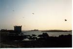 119 Essaouira.jpg